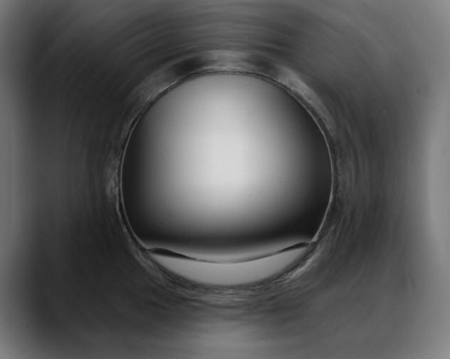X0000088041049200705251258
