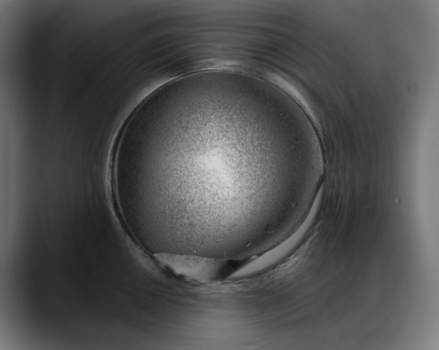 X0000088041050200705251258