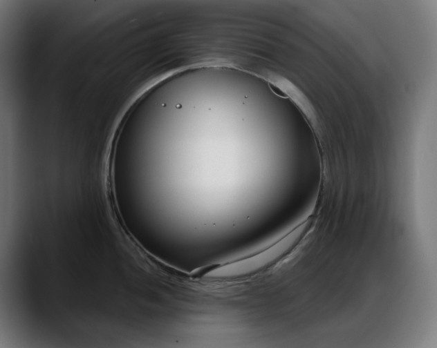 X0000088041052200705251258