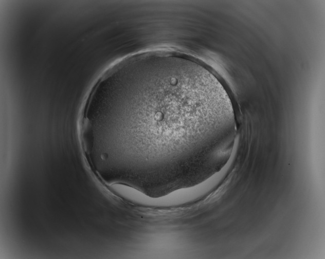 X0000088041054200705251258