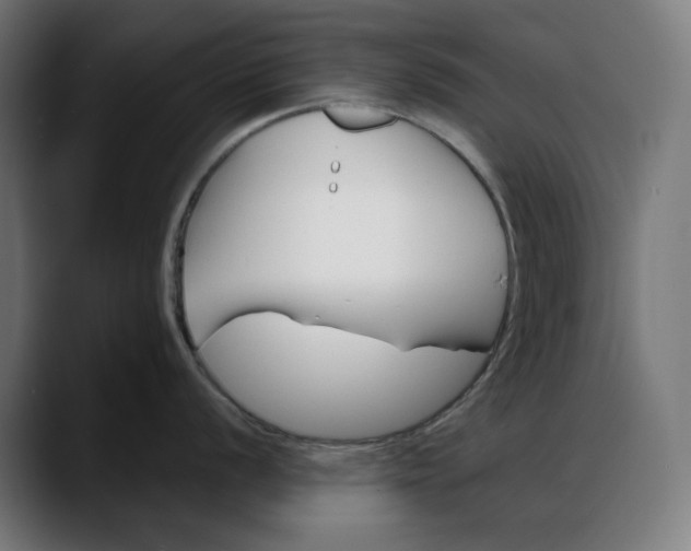 X0000088041056200705251258