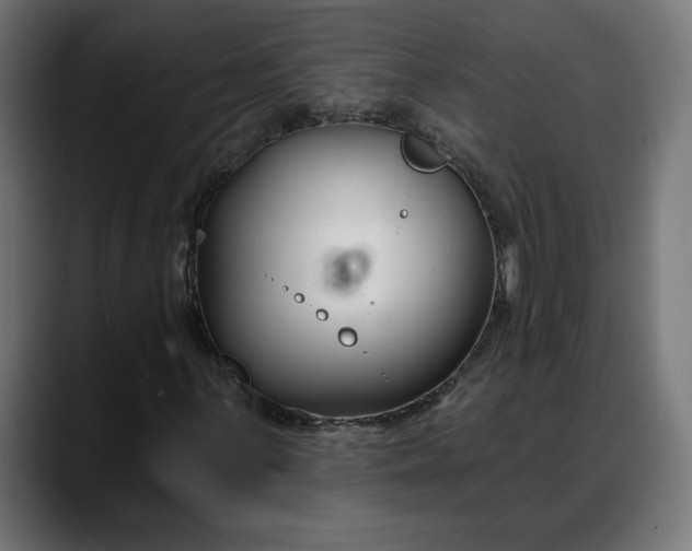 X0000088041059200705251257