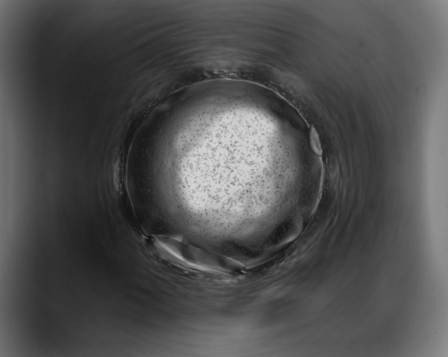 X0000088041060200705251257