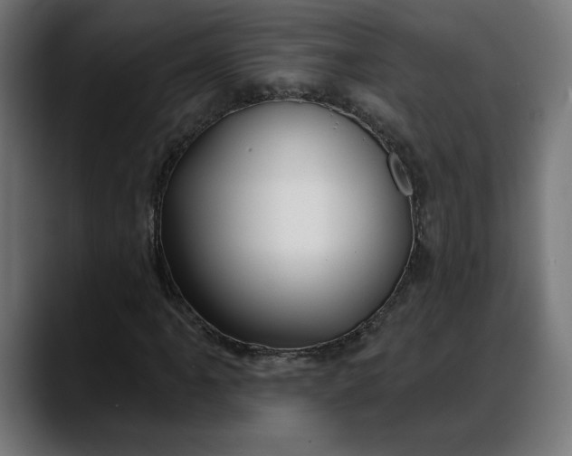 X0000088041061200705251257
