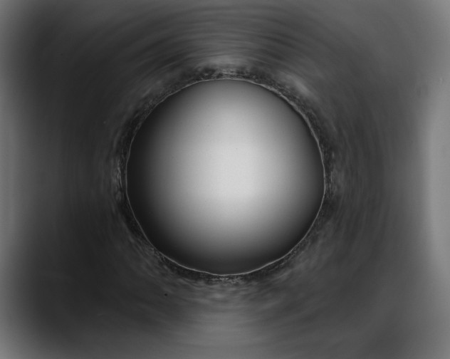 X0000088041062200705251257
