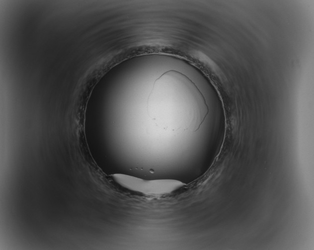 X0000088041064200705251257