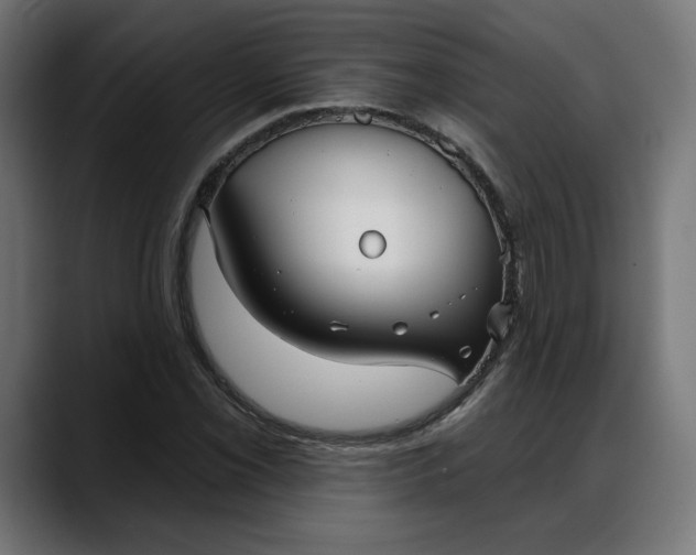 X0000088041069200705251257
