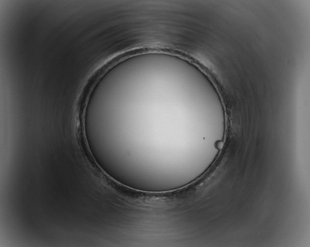 X0000088041070200705251257