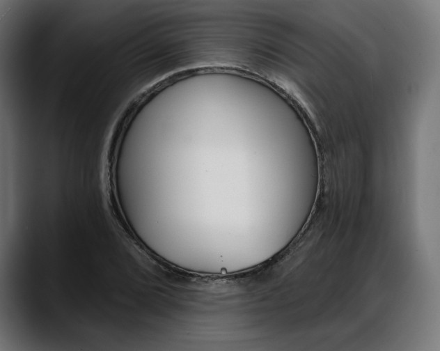 X0000088041072200705251257
