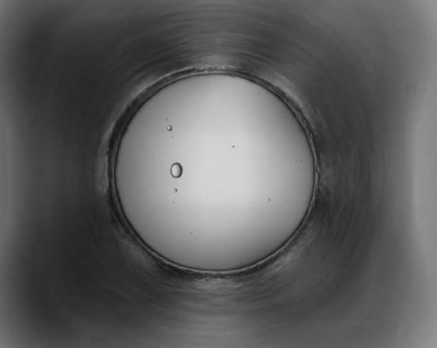 X0000088041075200705251257