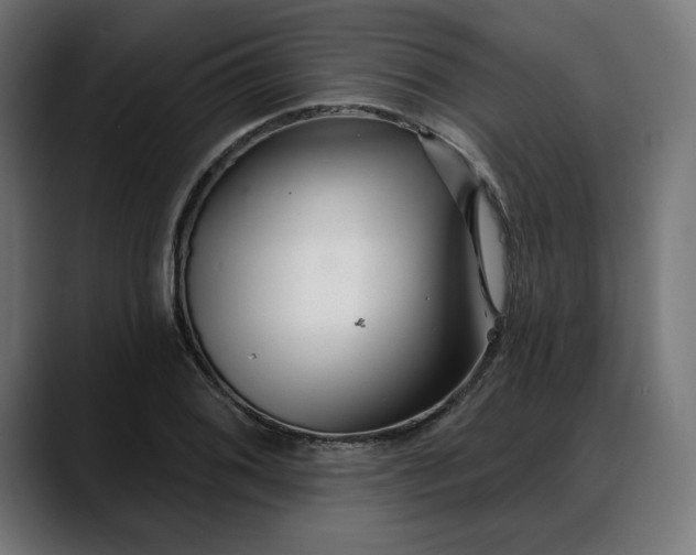 X0000088041076200705251257