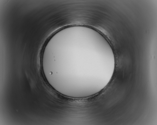 X0000088041078200705251257