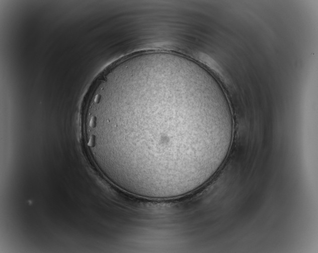 X0000088041079200705251257
