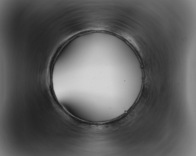 X0000088041080200705251257