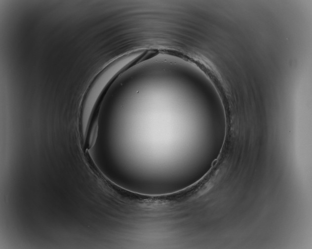 X0000088041081200705251257