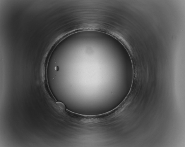 X0000088041083200705251257