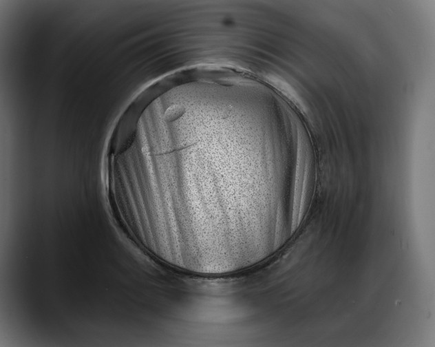 X0000088041084200705251257