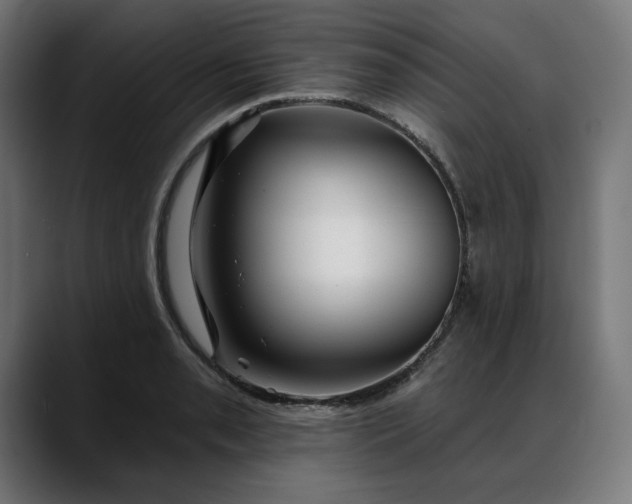 X0000088041085200705251257