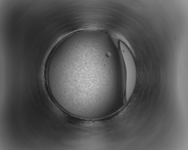X0000088041091200705251257