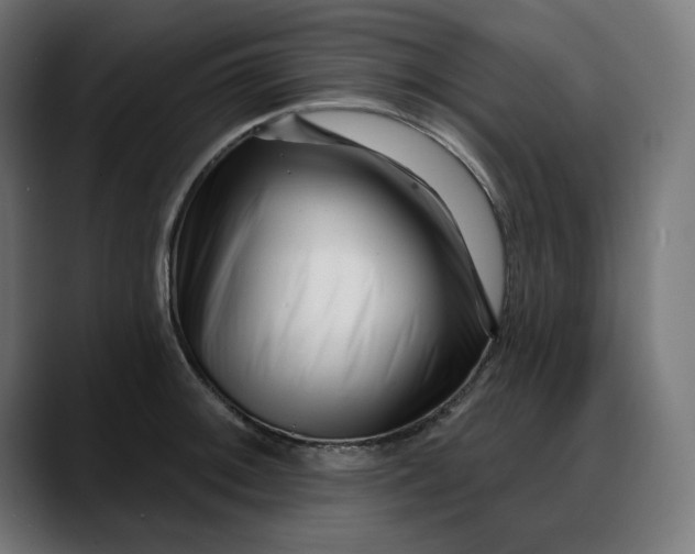 X0000088041092200705251257