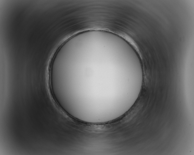 X0000088041096200705251257