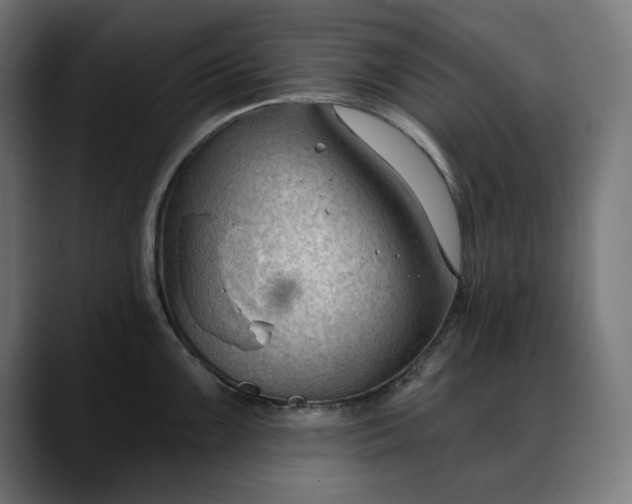 X0000088041099200705251257