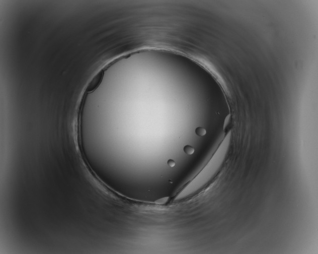 X0000088041100200705251257