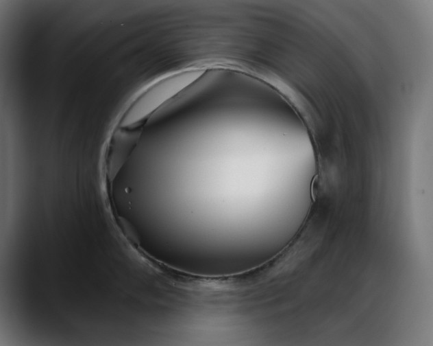 X0000088041102200705251257