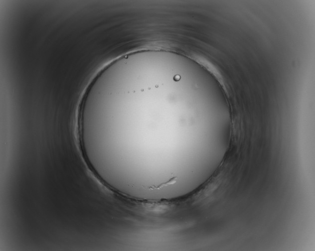X0000088041103200705251257
