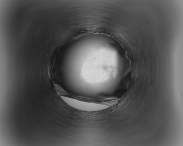 X0000088041106200705251256