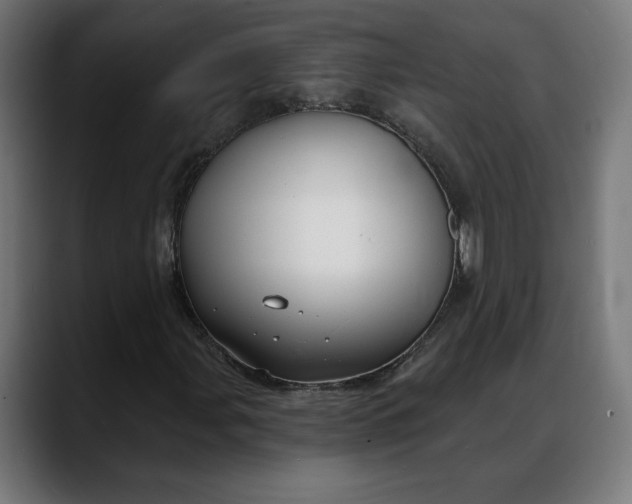 X0000088041107200705251256