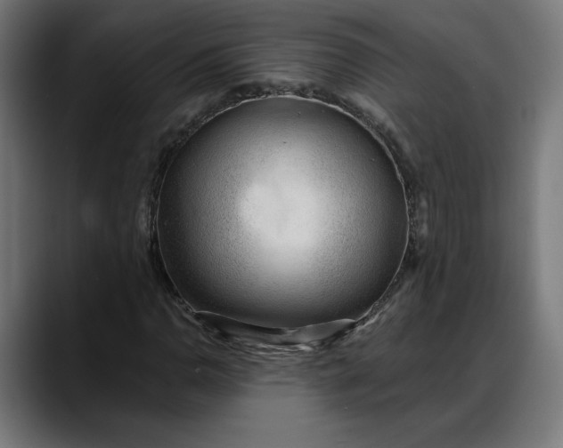 X0000088041110200705251256