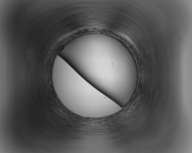 X0000088041112200705251256