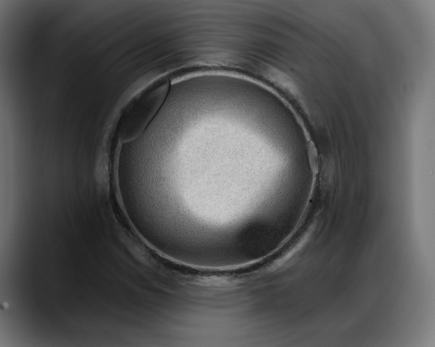X0000088041114200705251256