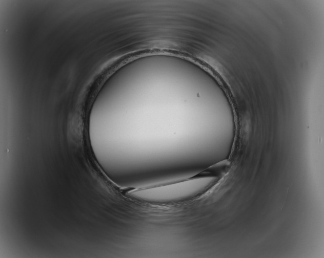 X0000088041115200705251256