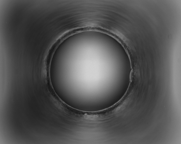 X0000088041118200705251256
