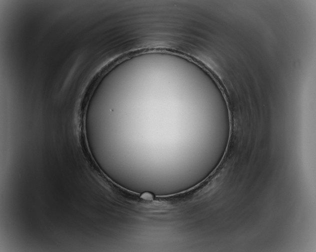 X0000088041119200705251256