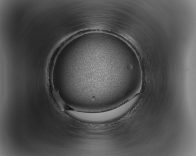 X0000088041120200705251256