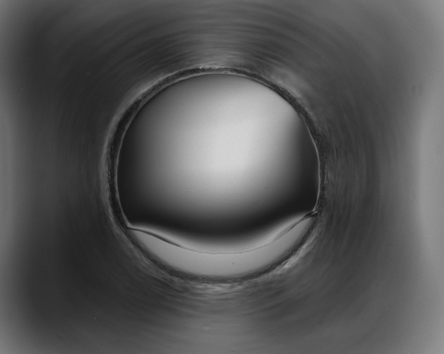 X0000088041122200705251256