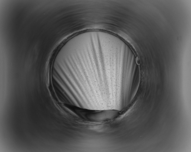 X0000088041127200705251256