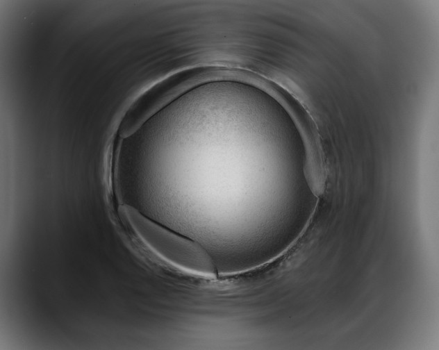 X0000088041128200705251256