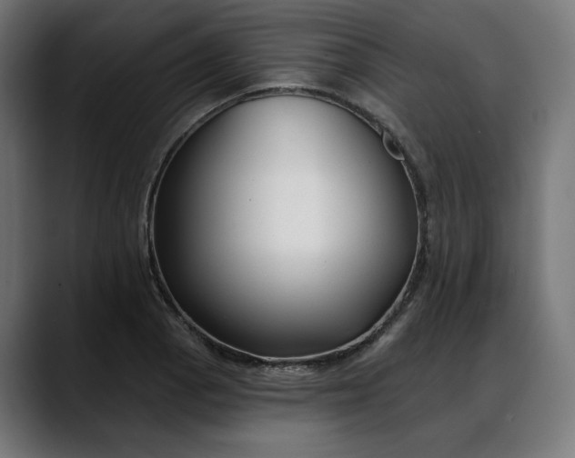 X0000088041129200705251256