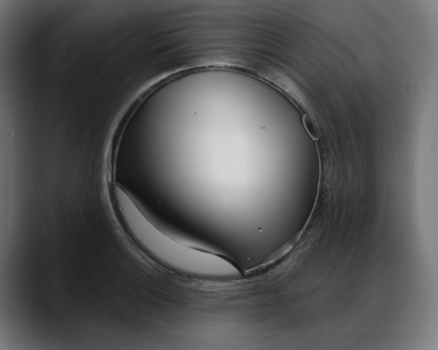 X0000088041132200705251256