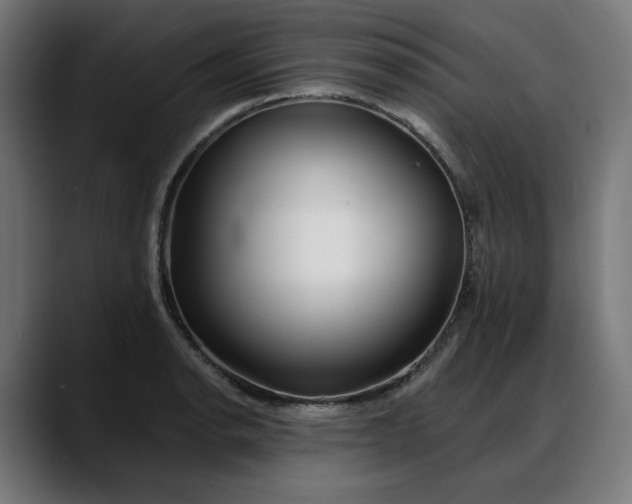 X0000088041134200705251256