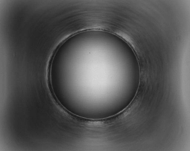 X0000088041135200705251256
