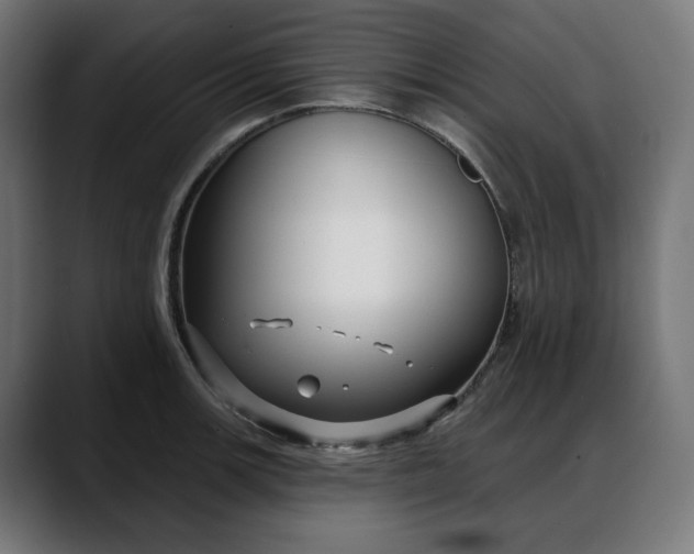X0000088041139200705251256