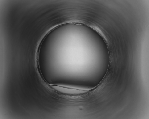 X0000088041140200705251256