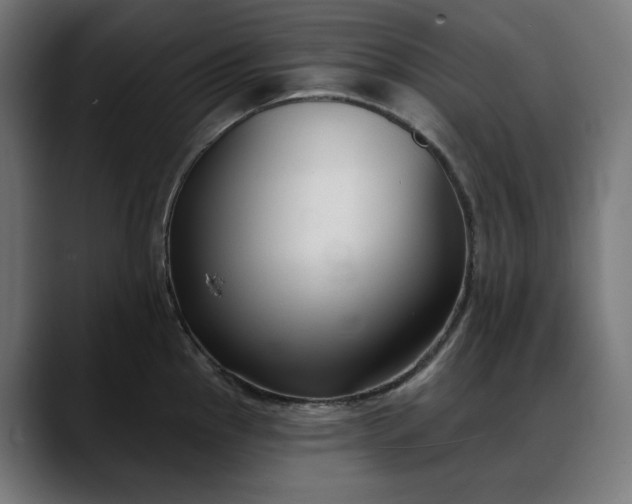 X0000088041145200705251256