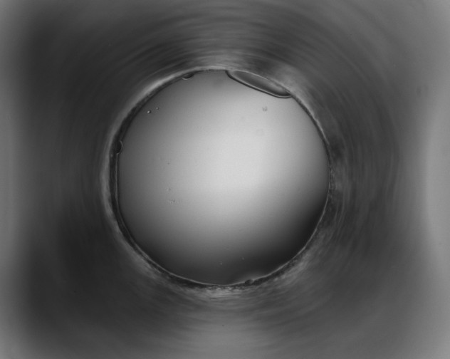 X0000088041147200705251256