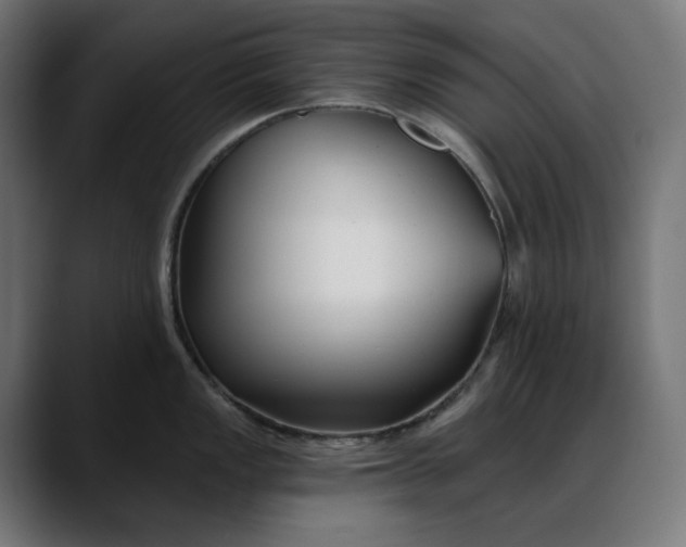 X0000088041149200705251257